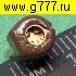 конденсатор Подстроечный 9,8-60пф коричн. TZ03 dip (диаметр 6мм) TZ03P600F169B00 конденсатор переменный